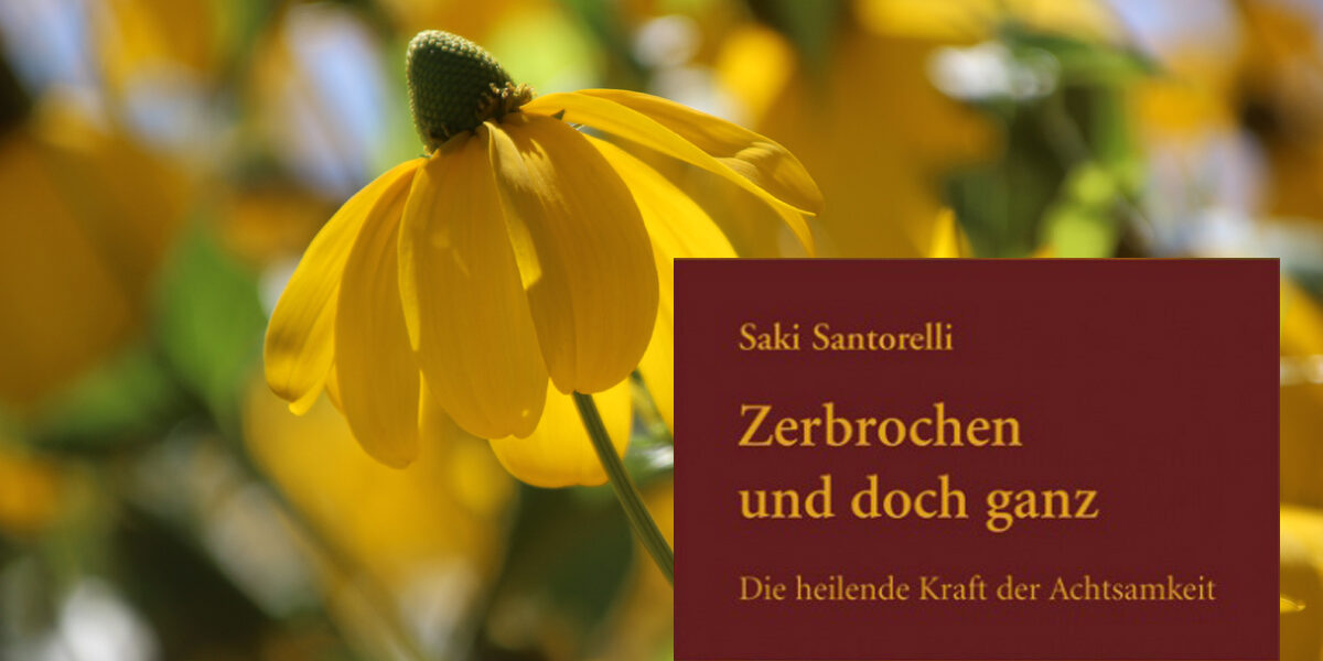Zerbrochen-und-doch-ganz Zerbrochen-und-doch-ganz