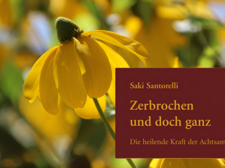Zerbrochen-und-doch-ganz Zerbrochen-und-doch-ganz