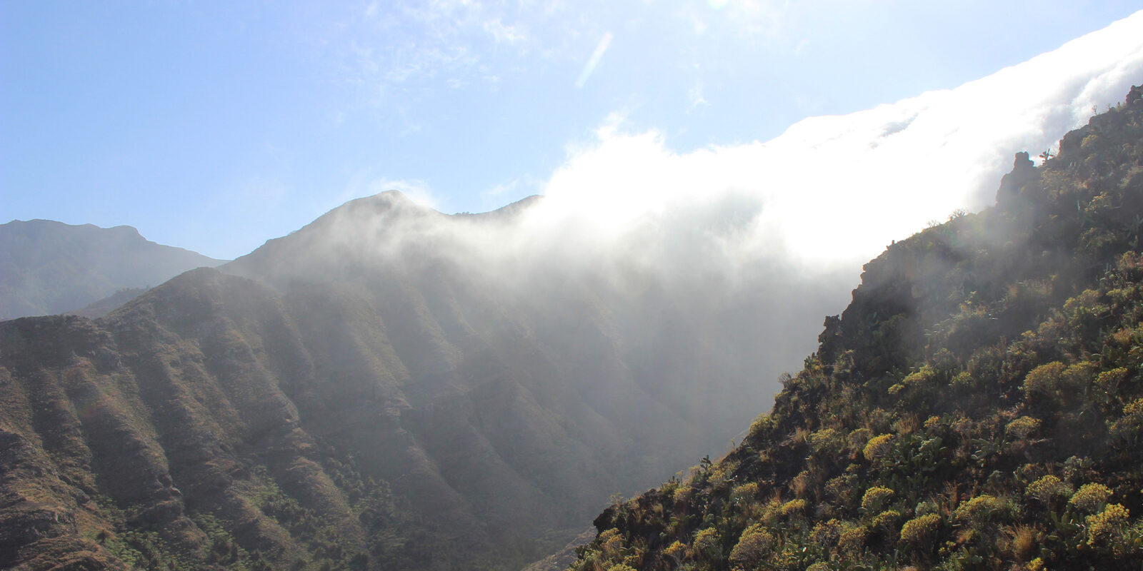 Gemeinsam_Rose-Ausländer