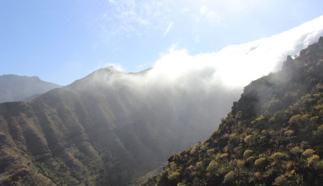 Gemeinsam_Rose-Ausländer